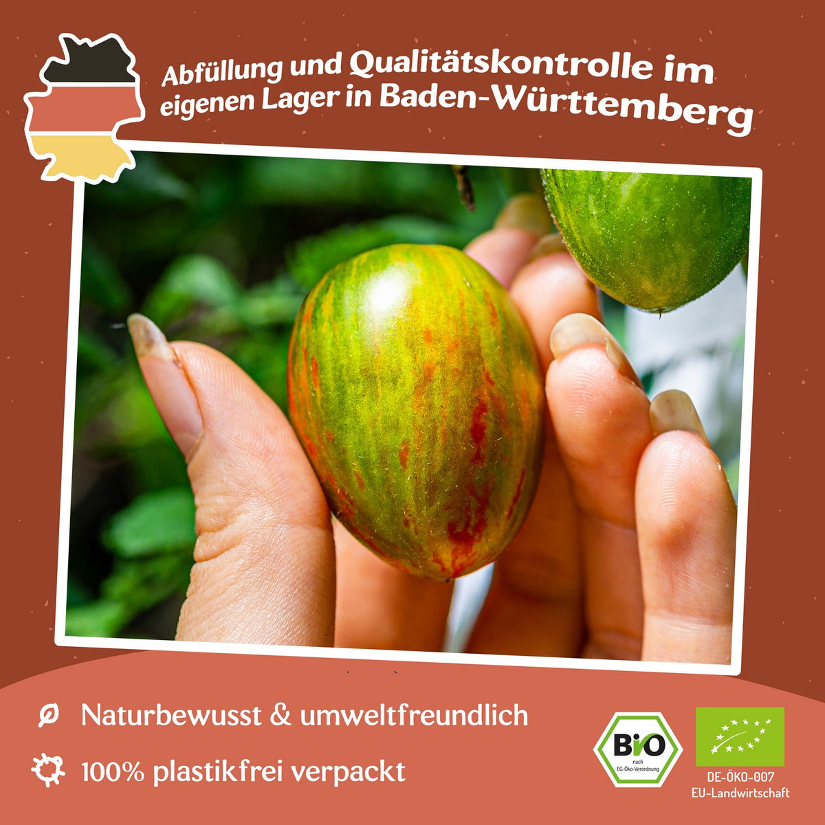 Brad`s Atomic Grape Bio-Tomatensamen