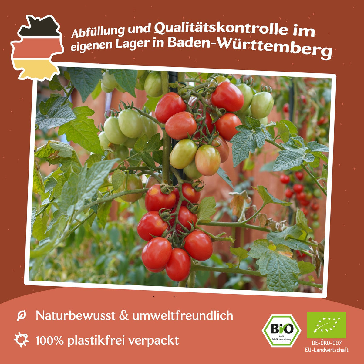 German Lunchbox Bio-Tomatensamen