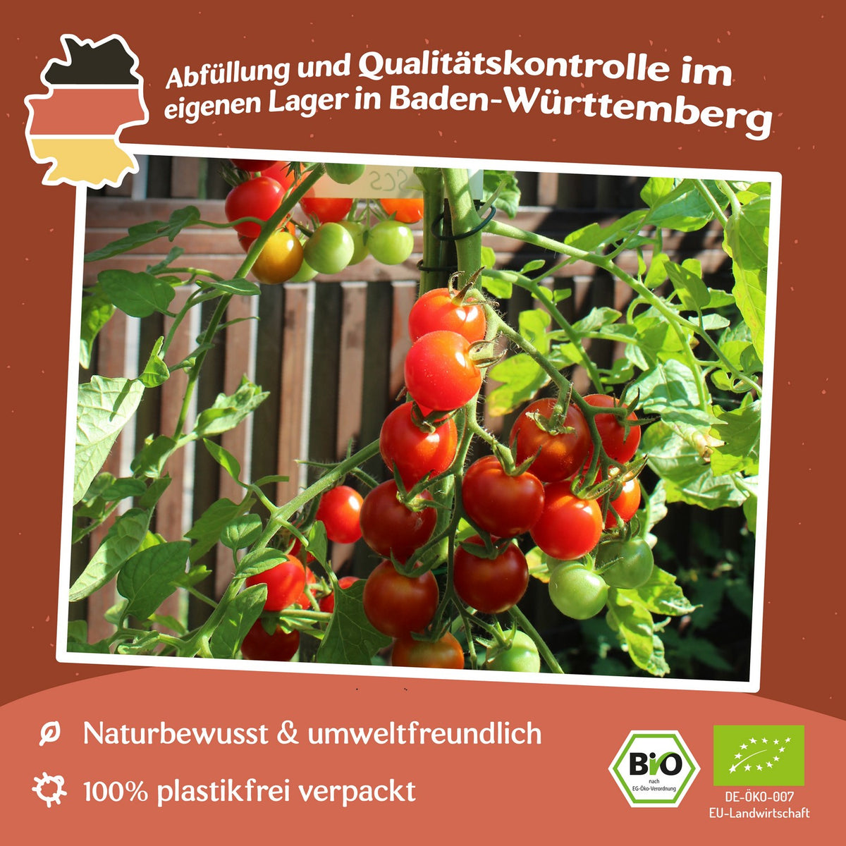 Miel du Mexique Bio-Tomatensamen