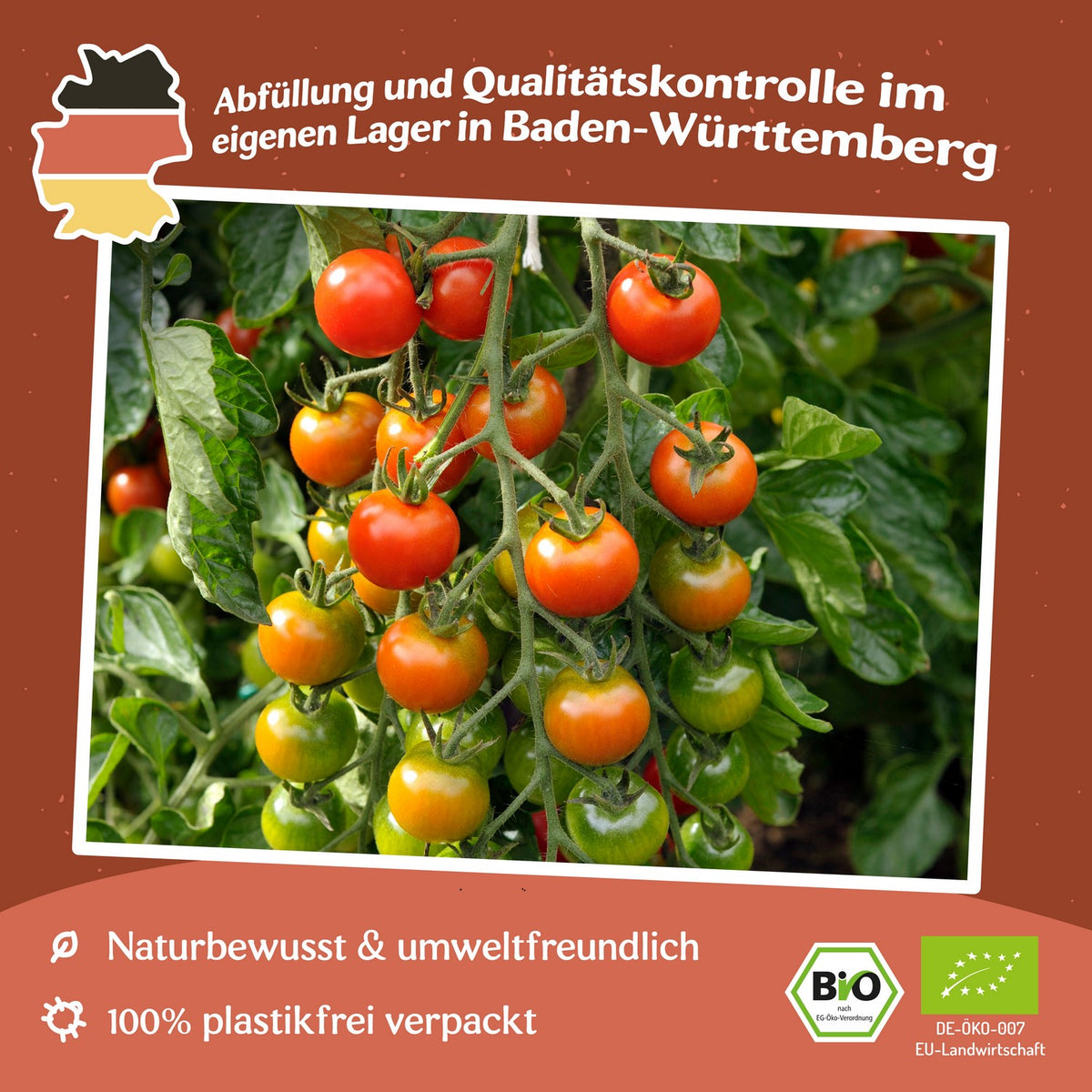 Primabella Bio-Tomatensamen