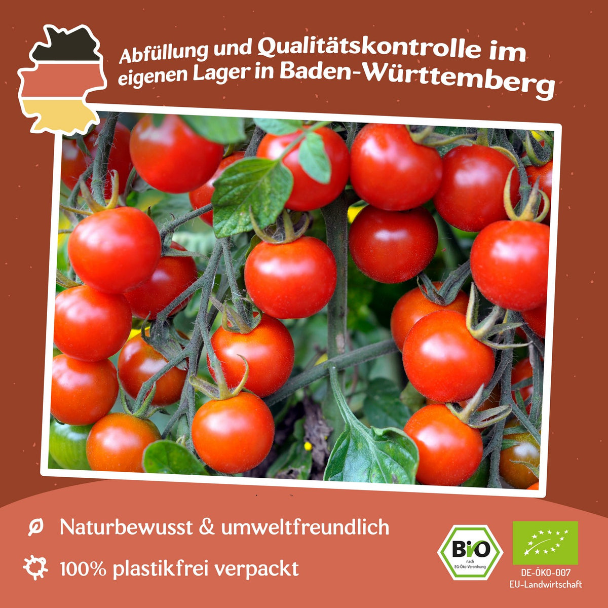 Primavera Bio-Tomatensamen