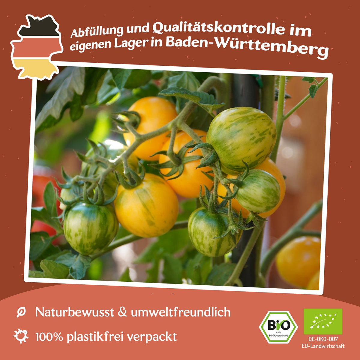 Topaz Bio-Tomatensamen