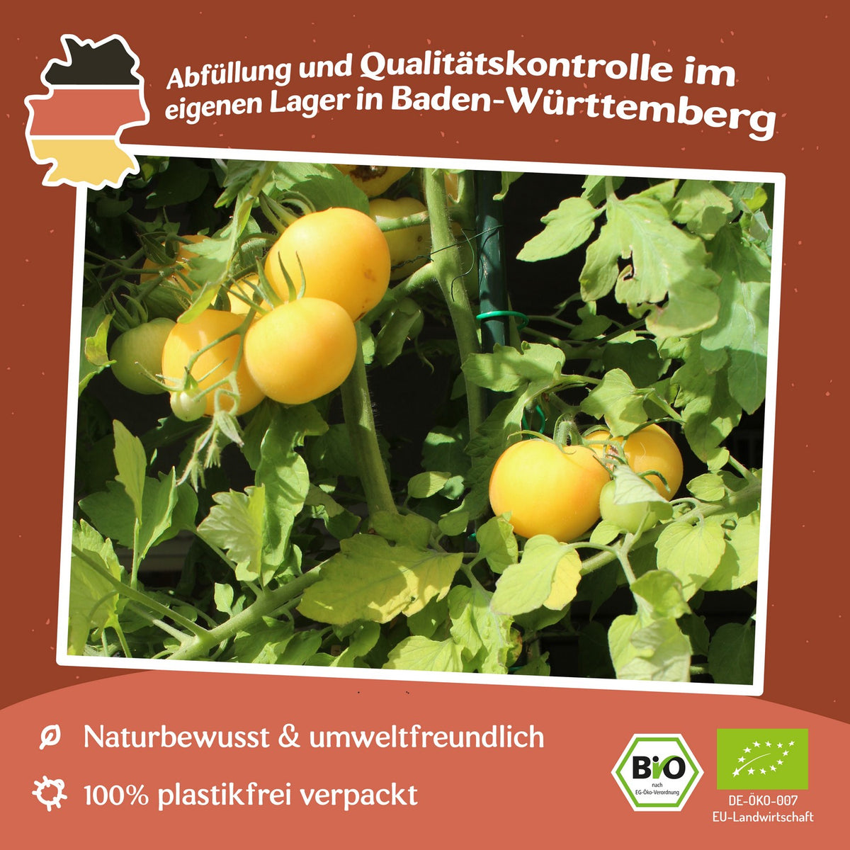 Weißer Pfirsich Bio-Tomatensamen