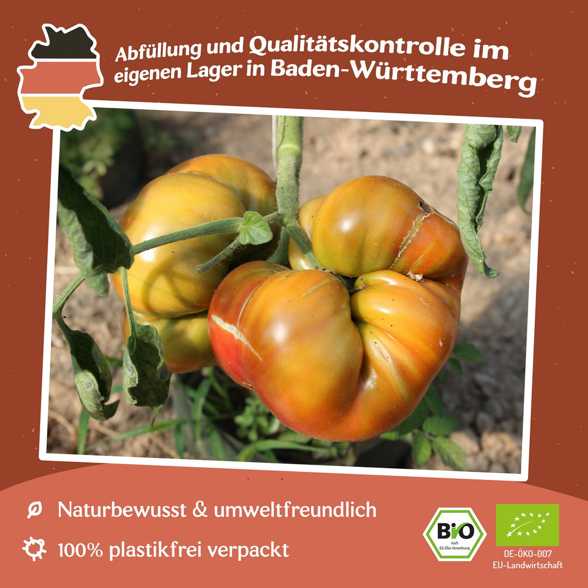Ananas Noire Bio-Tomatensamen