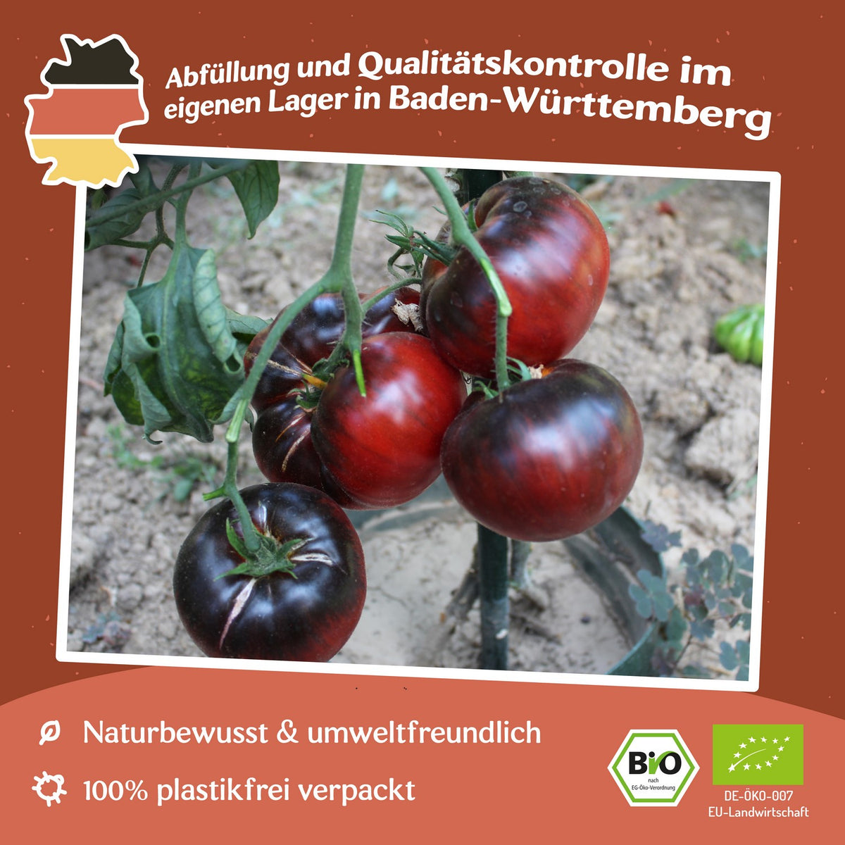 Black Beauty Bio-Tomatensamen