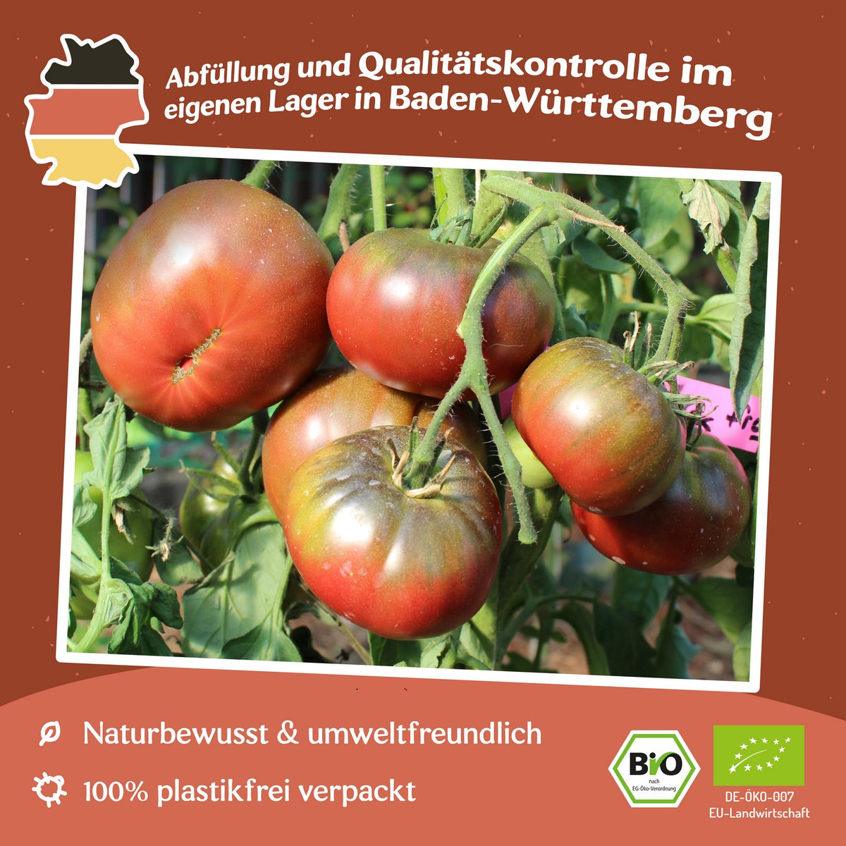 Black from Tula Bio-Tomatensamen
