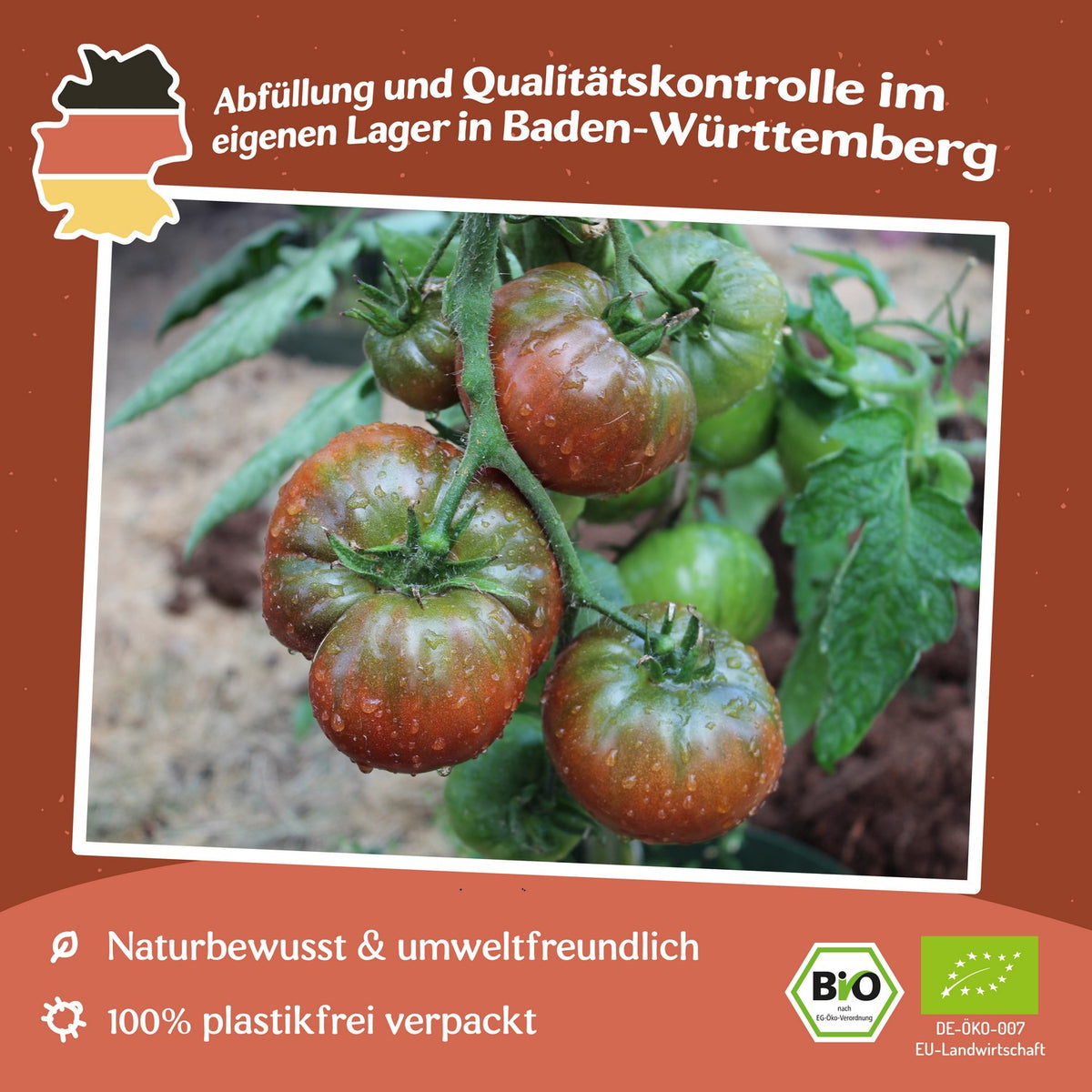 Black Sea Man Bio-Tomatensamen