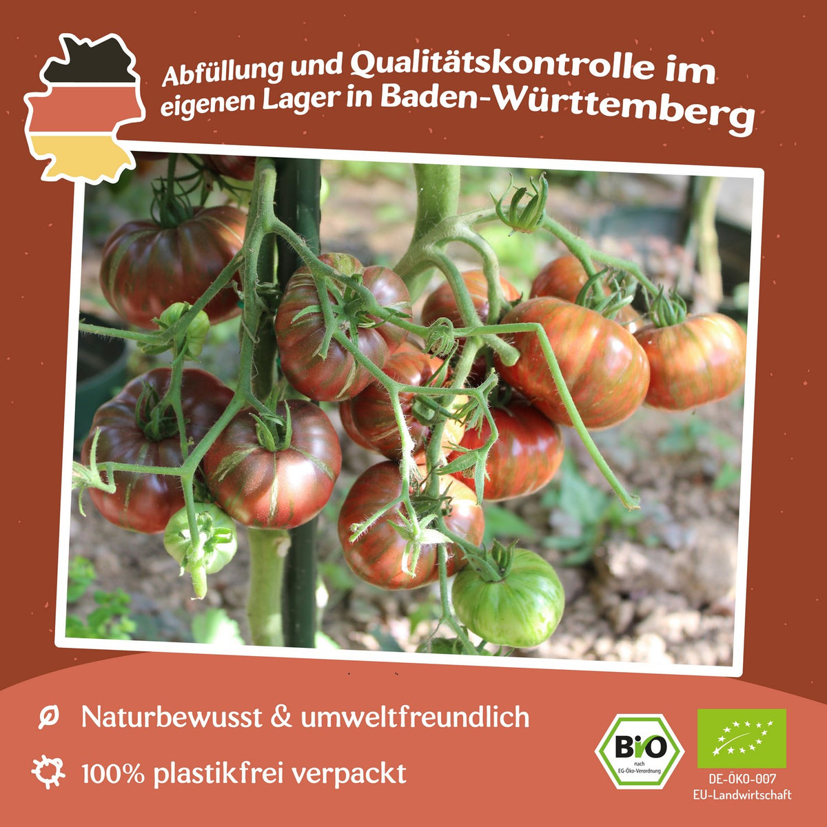 Chocolate Stripes Bio-Tomatensamen