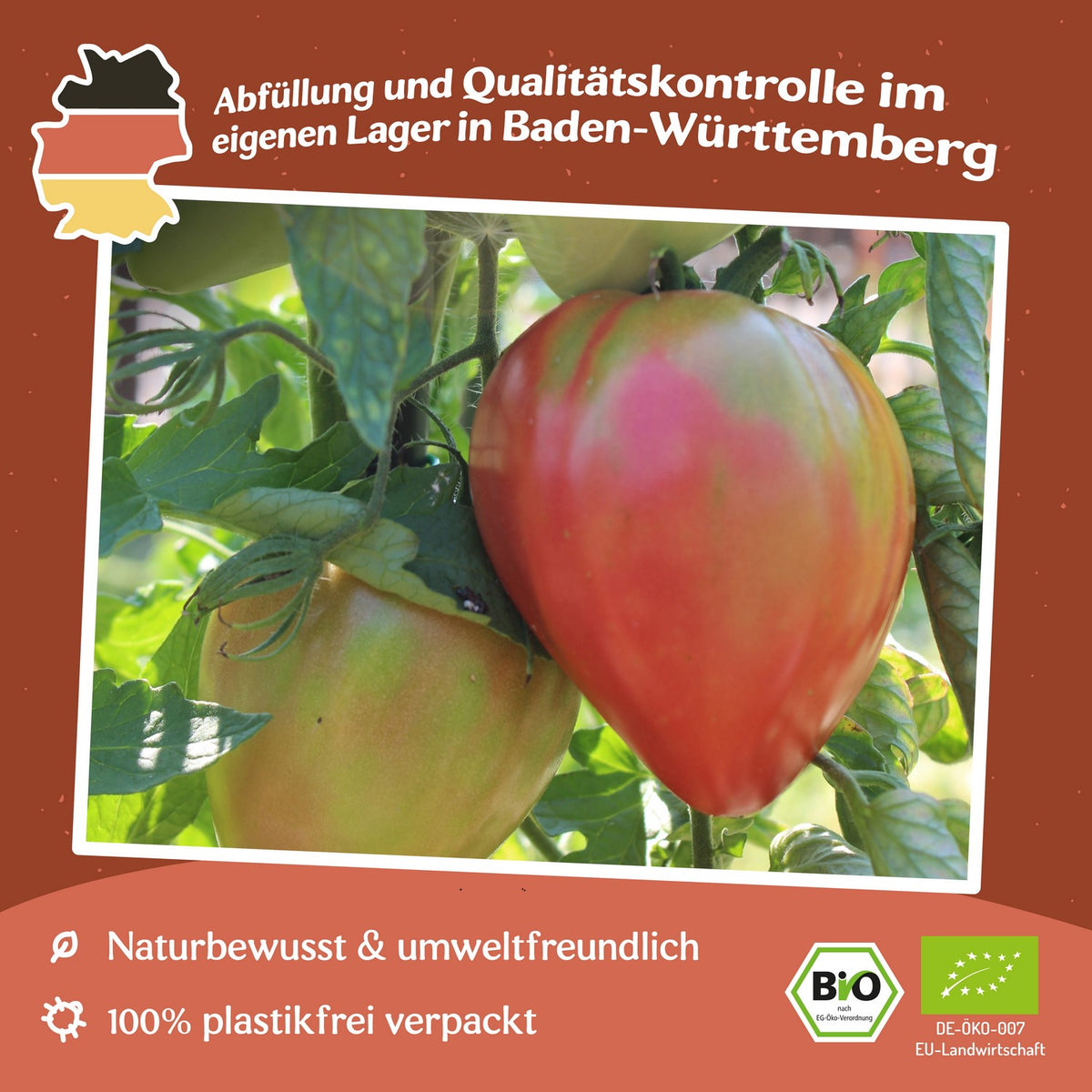 German Red Strawberry Bio-Tomatensamen