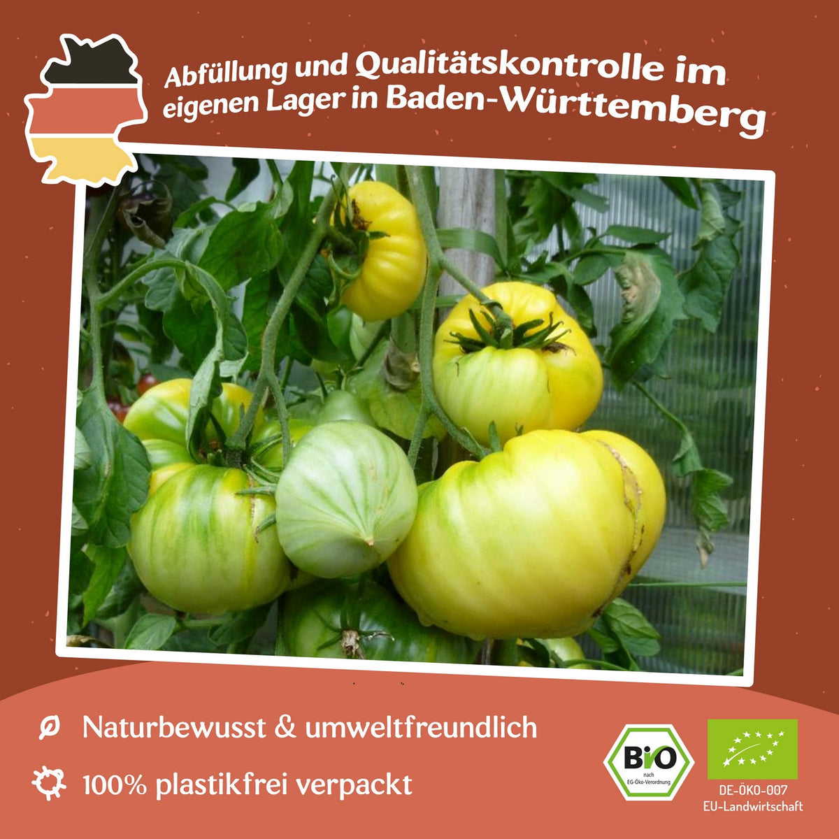 Huge Lemon Oxheart Bio-Tomatensamen