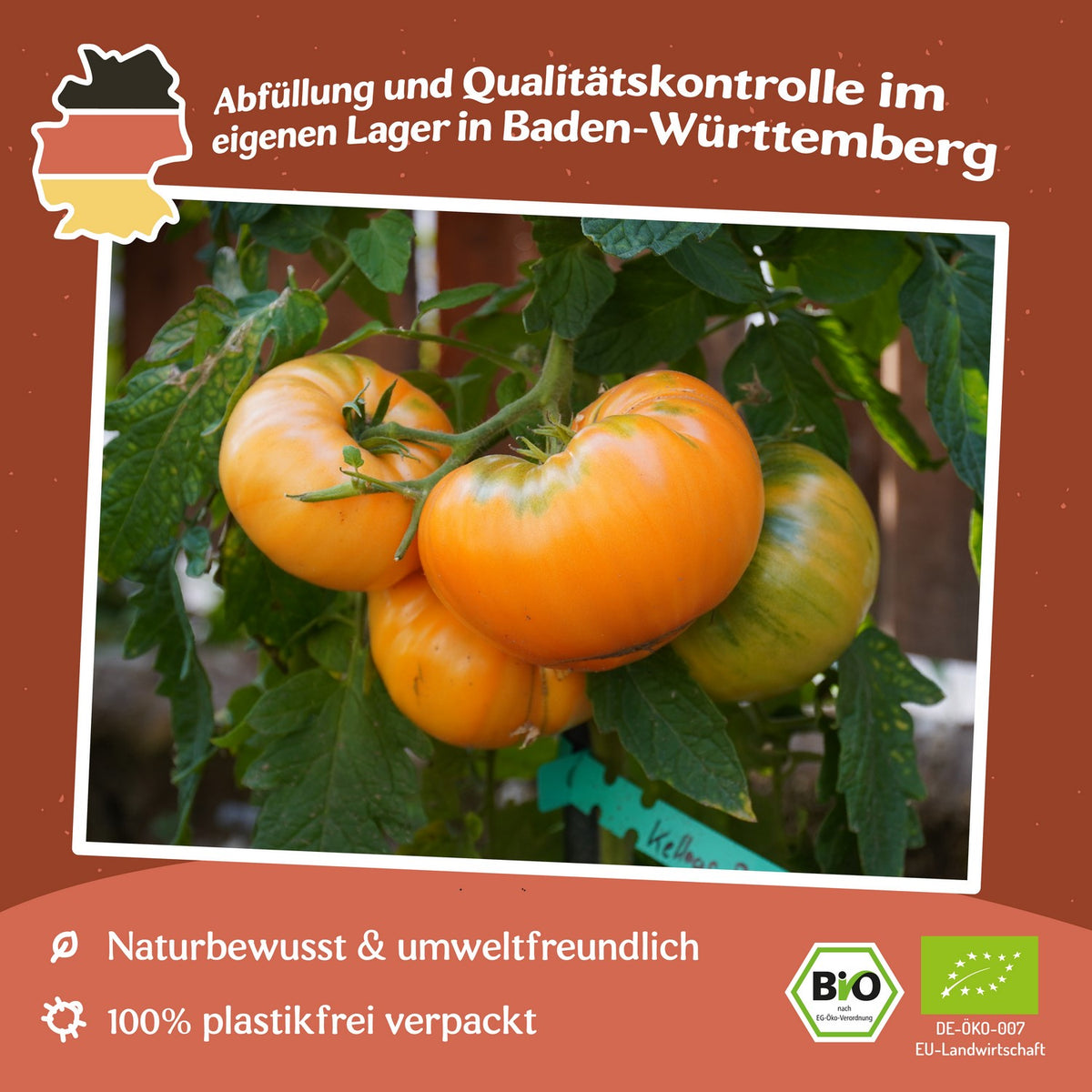 Kellogg`s Breakfast Bio-Tomatensamen