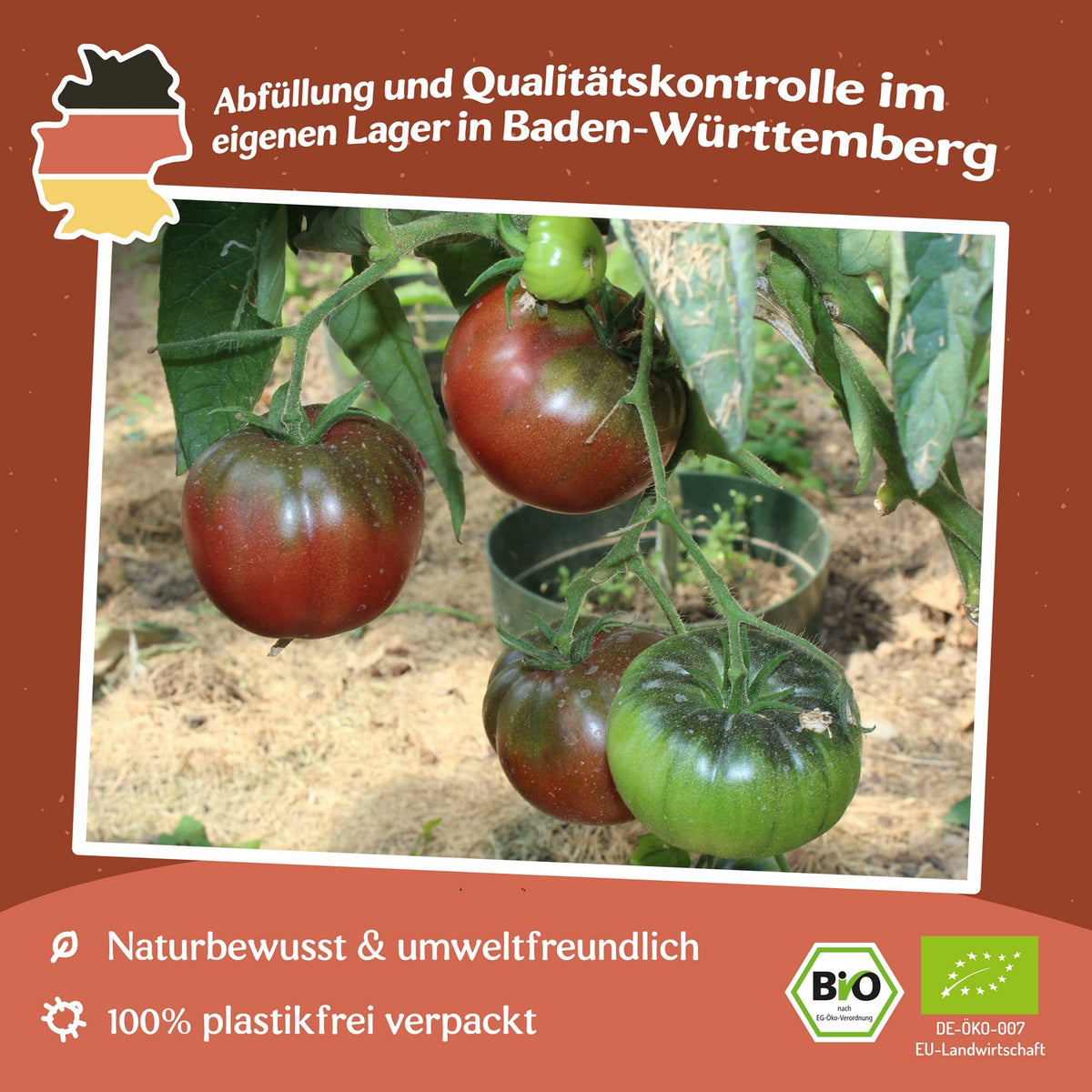 Noire Russe Bio-Tomatensamen