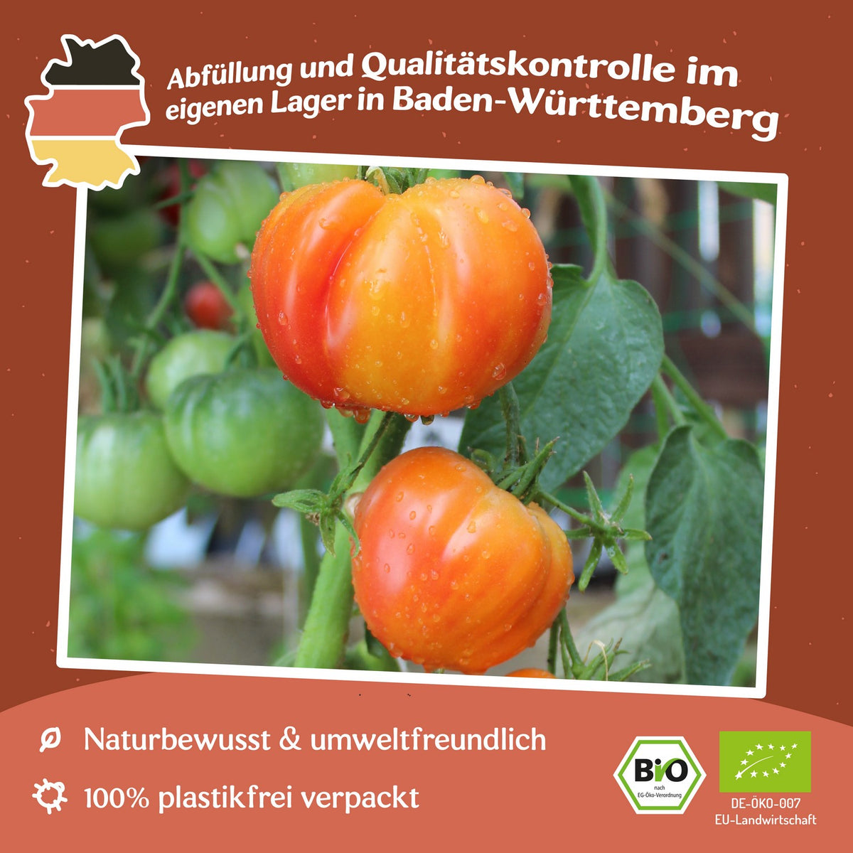 Oaxacan Jewel Bio-Tomatensamen