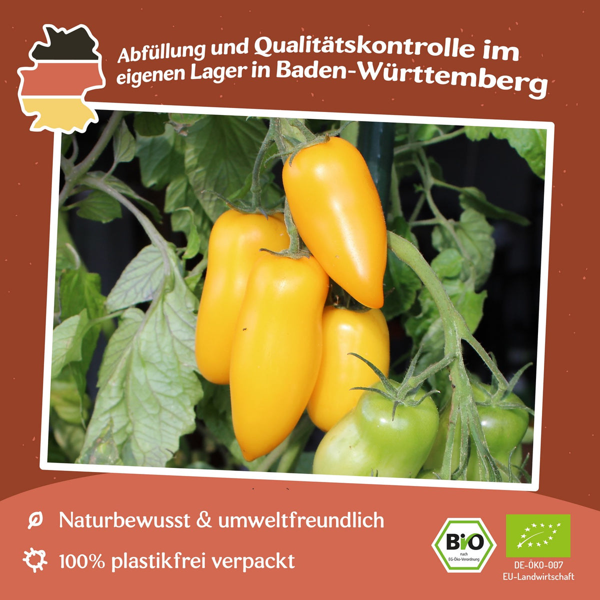 Banana Legs Bio-Tomatensamen