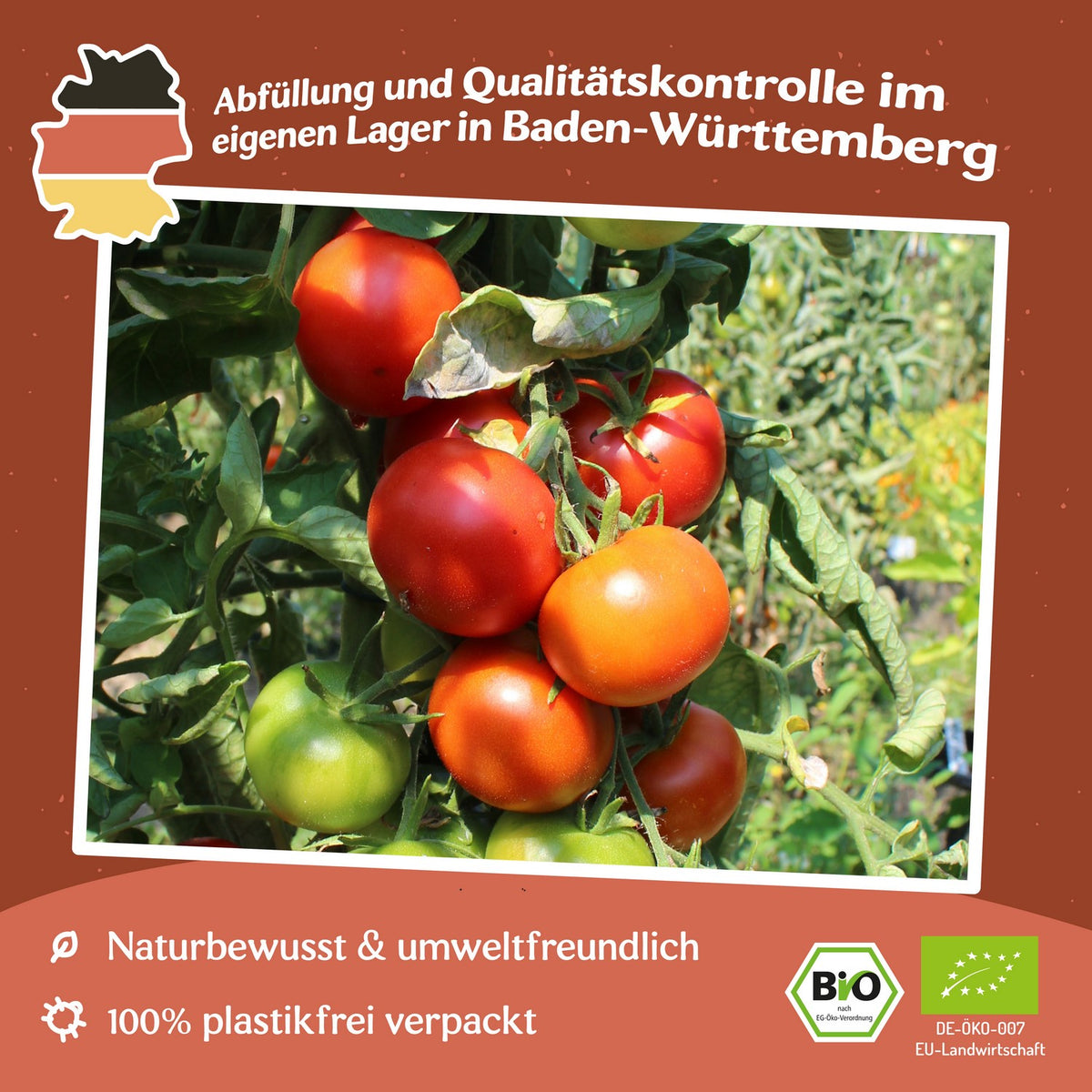 Bloody Butcher Bio-Tomatensamen