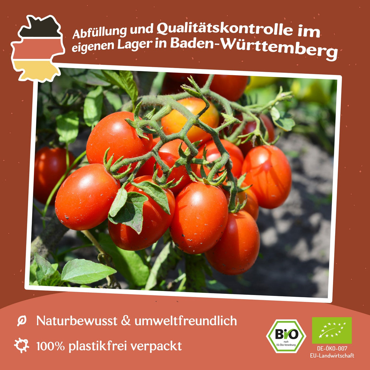 De Berao Bio-Tomatensamen