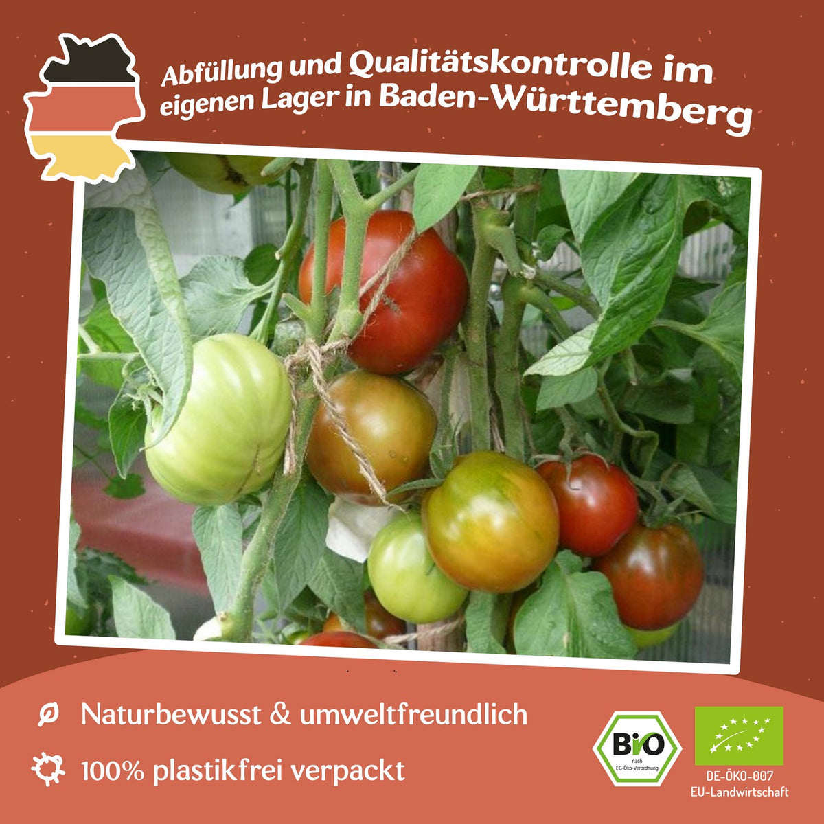 Paul Robson Bio-Tomatensamen