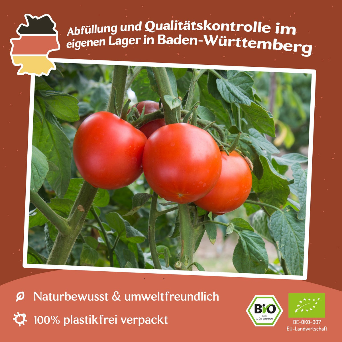 Rondobella Bio-Tomatensamen