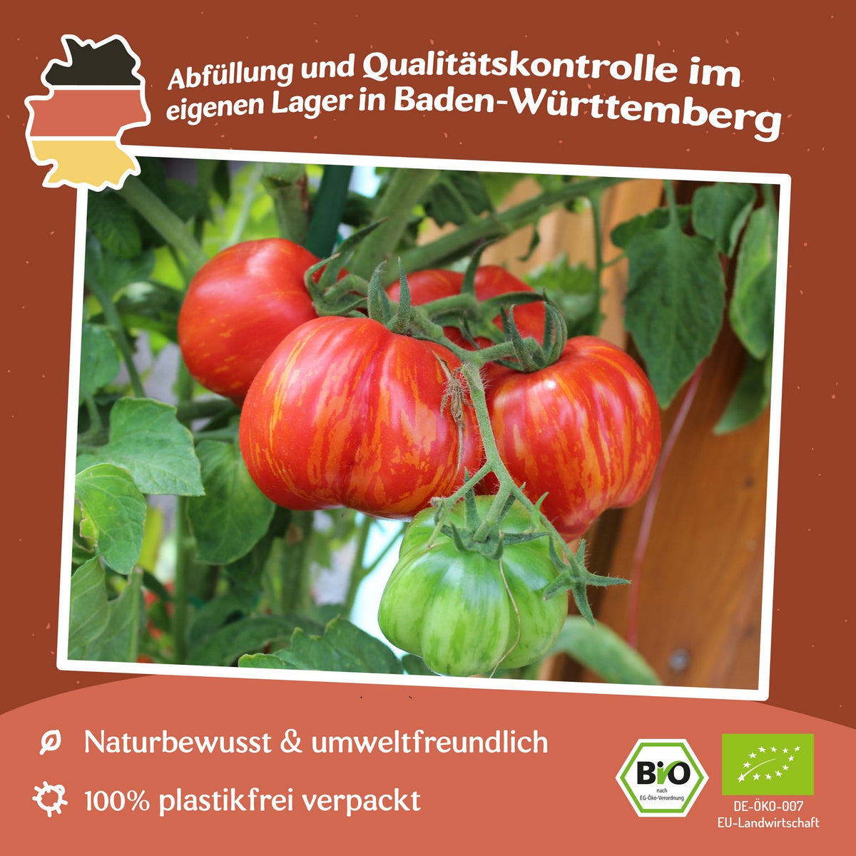 Striped Stuffer Bio-Tomatensamen