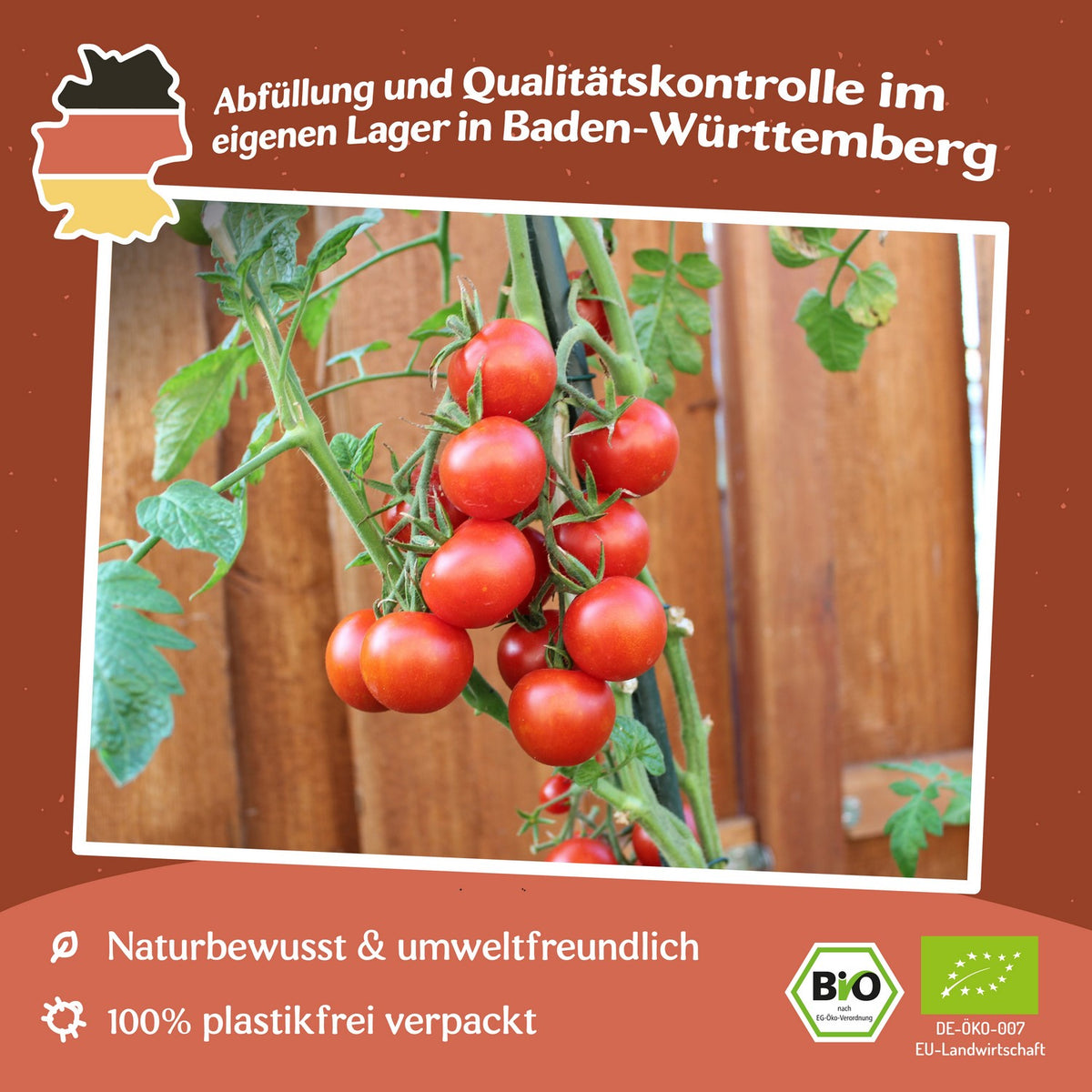 Vivaroma Bio-Tomatensamen