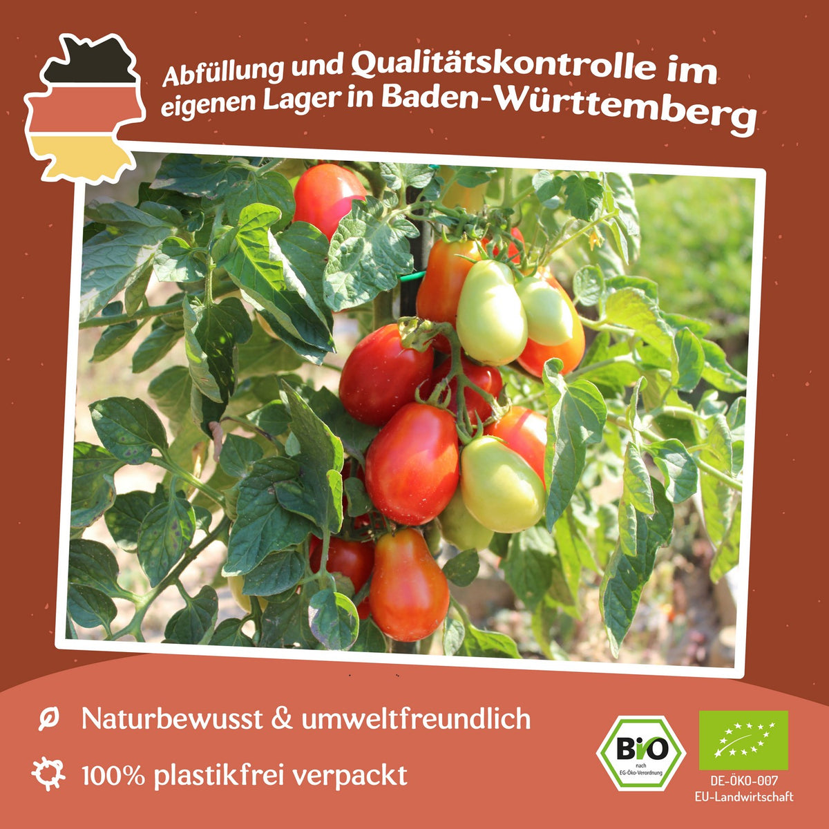 Roma Bio-Tomatensamen