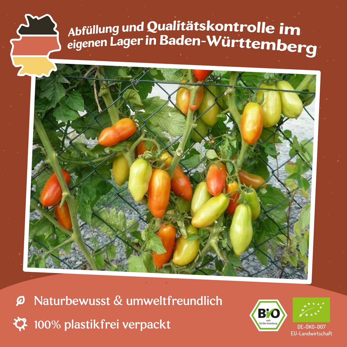 San Marzano 2 Bio-Tomatensamen