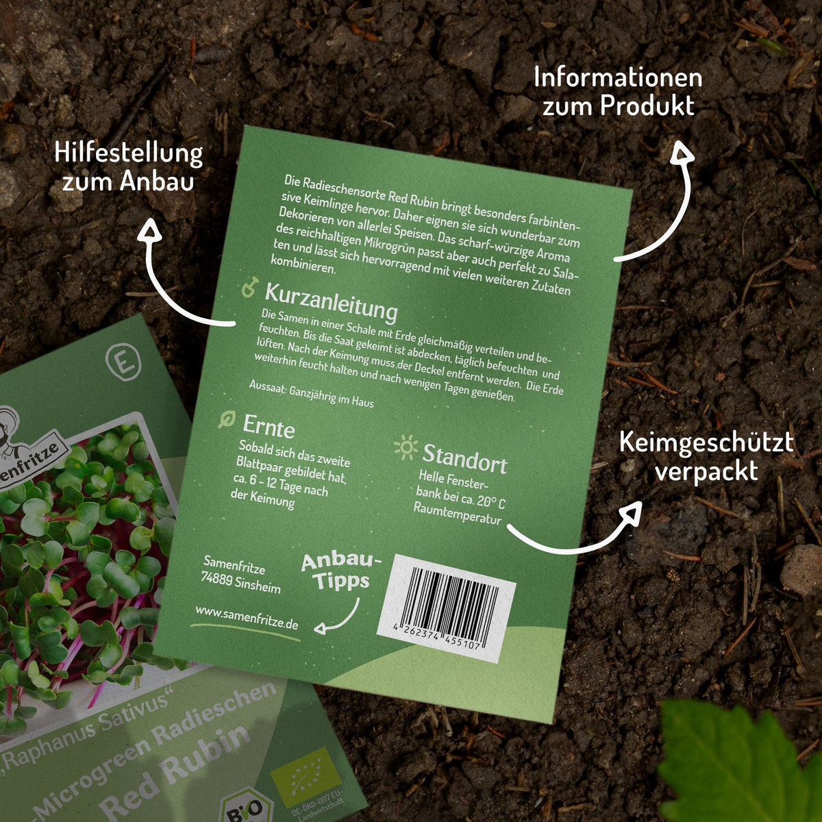 Microgreen Samen Bio-Radies Rota