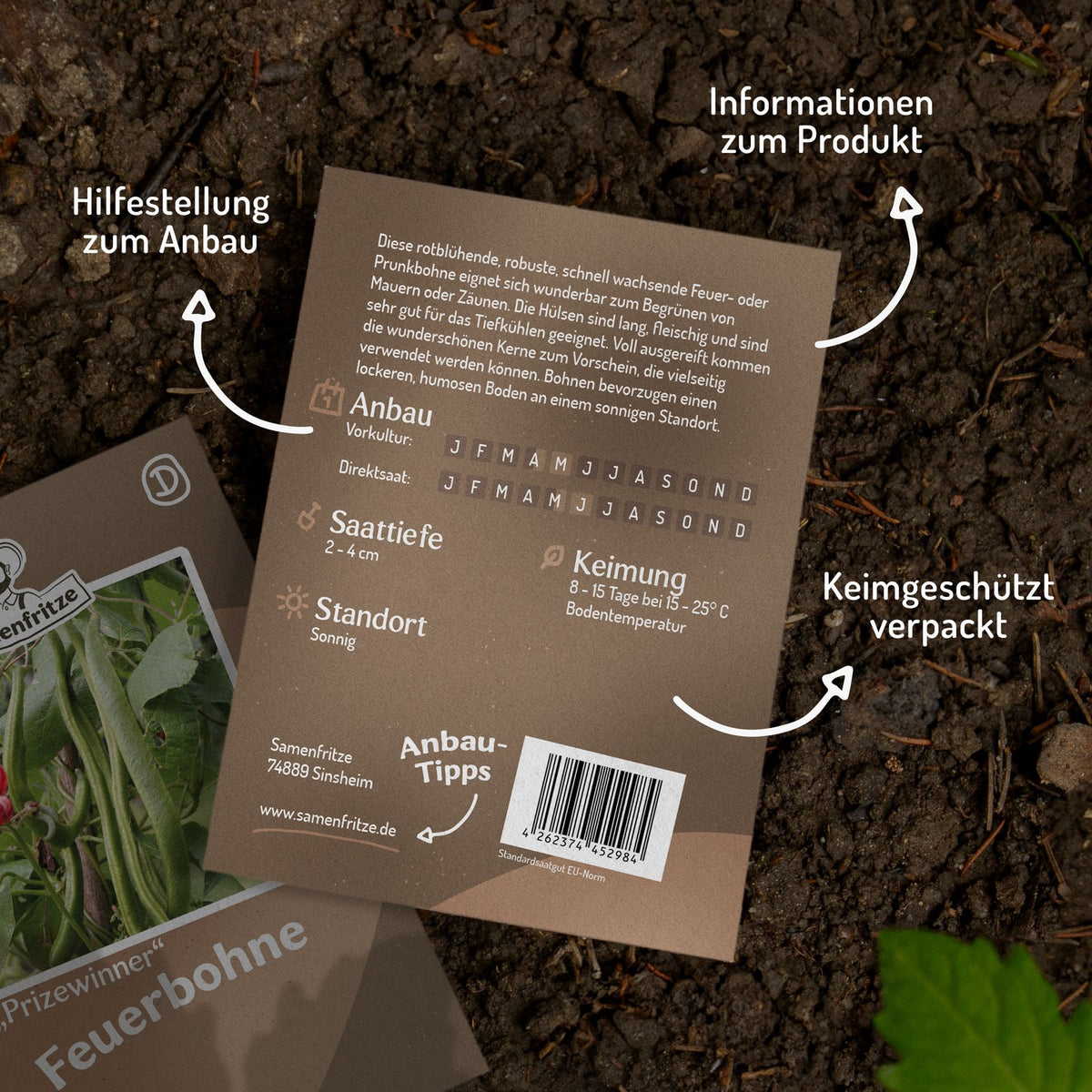 Feuerbohne Prizewinner Samen