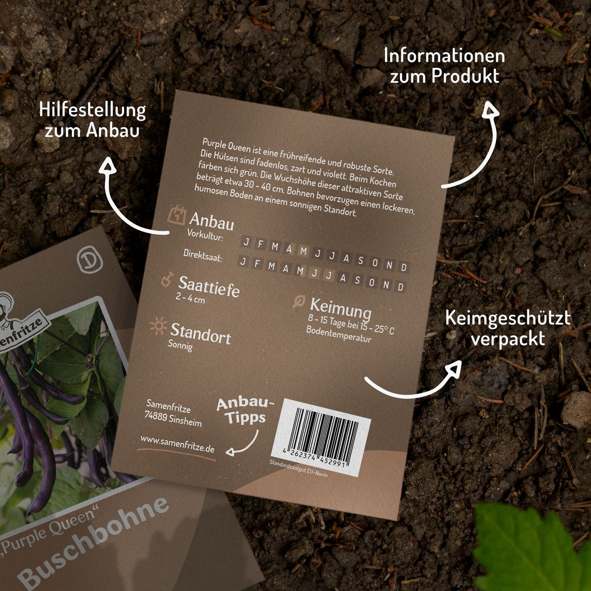 Buschbohne Purple Queen Samen