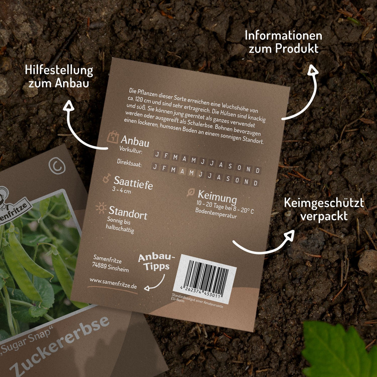 Zuckererbse Sugar Snap Samen