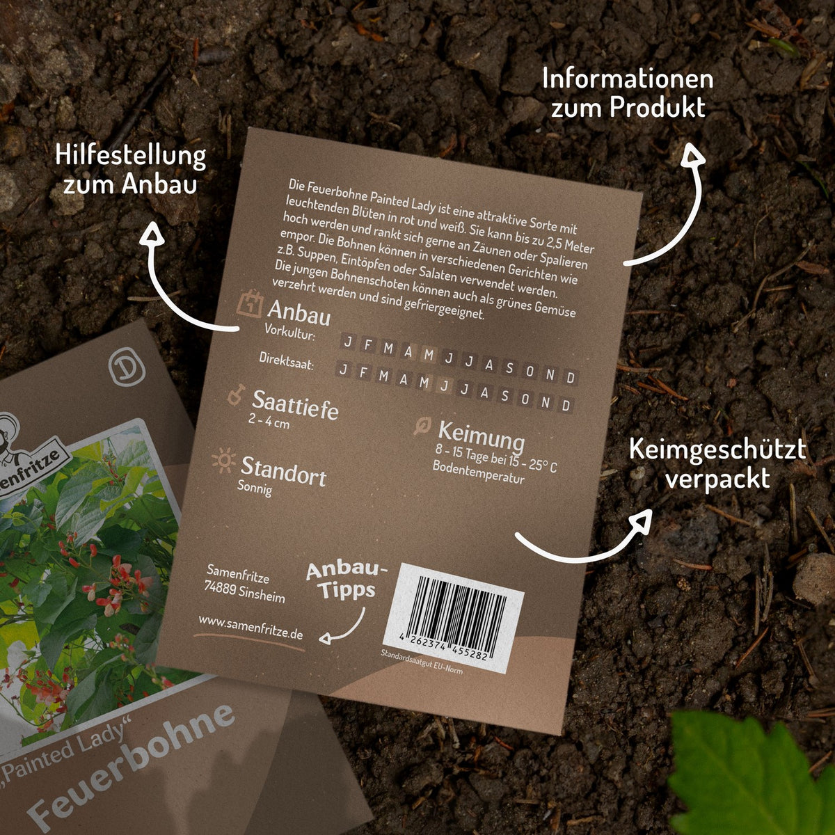 Feuerbohne Painted Lady Samen