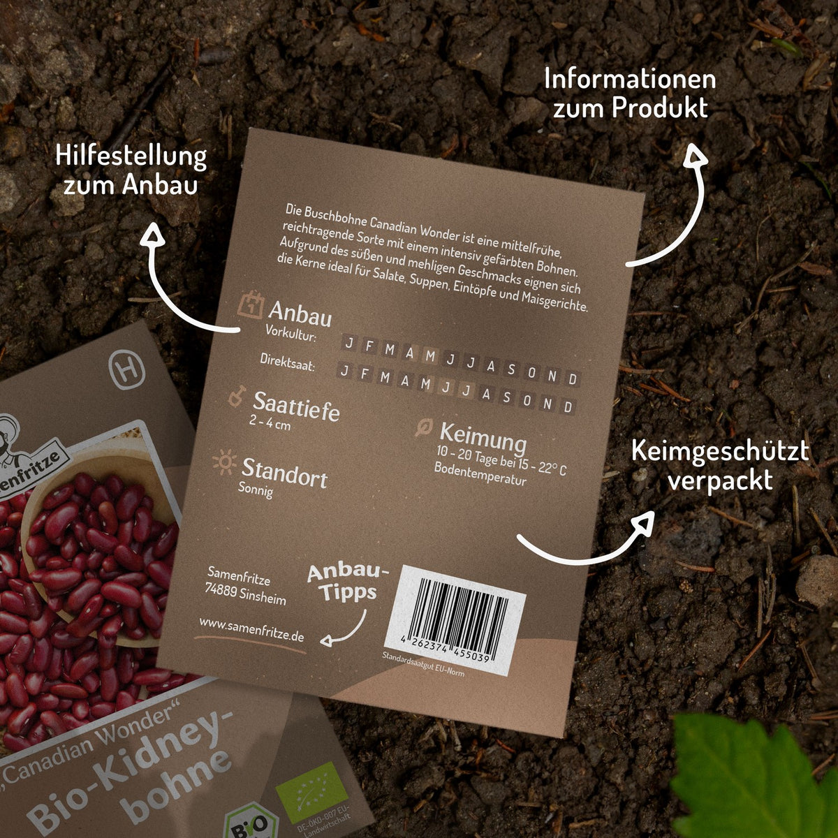 Bio-Kidneybohne Canadian Wonder Samen