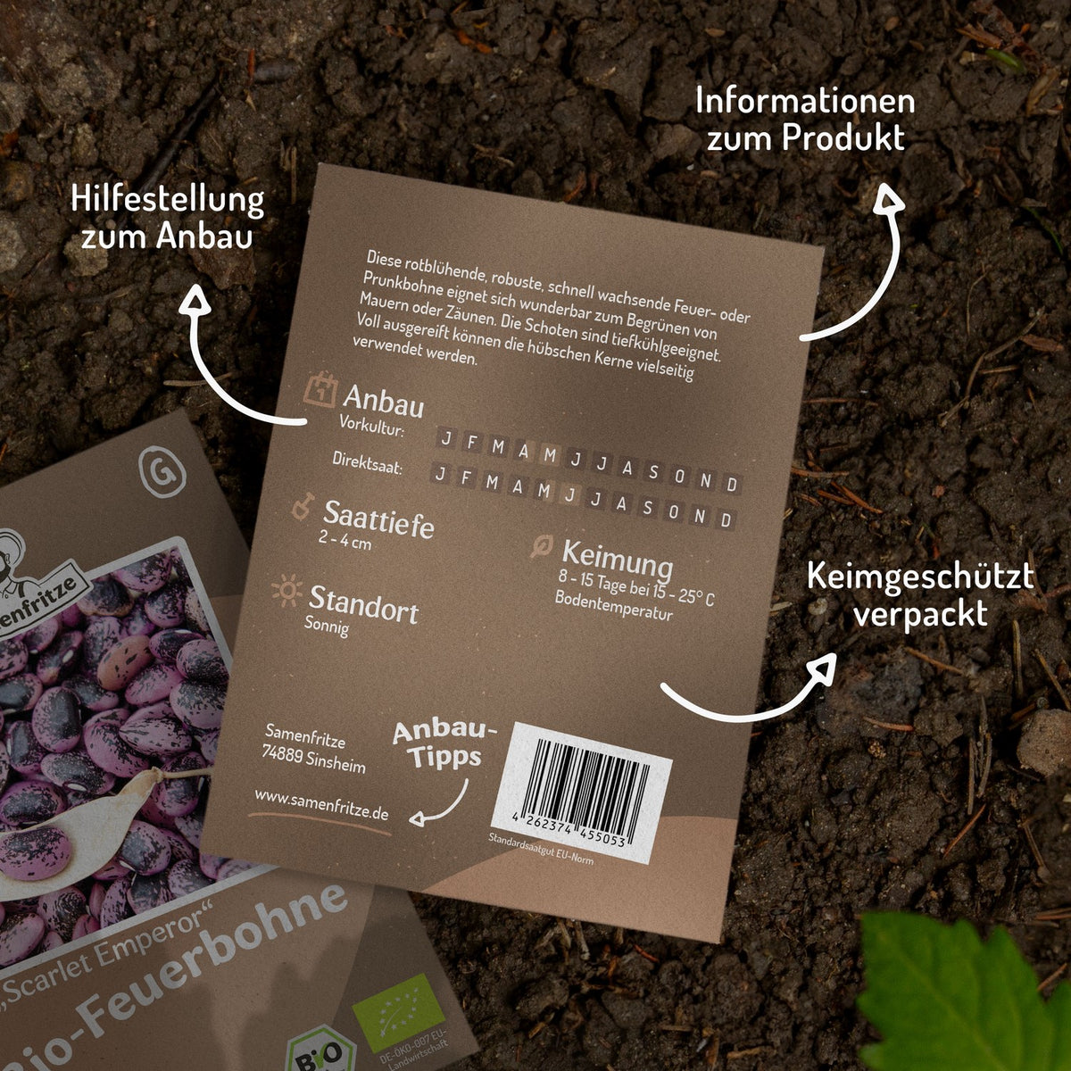 Bio-Feuerbohne Scarlet Emperor Samen