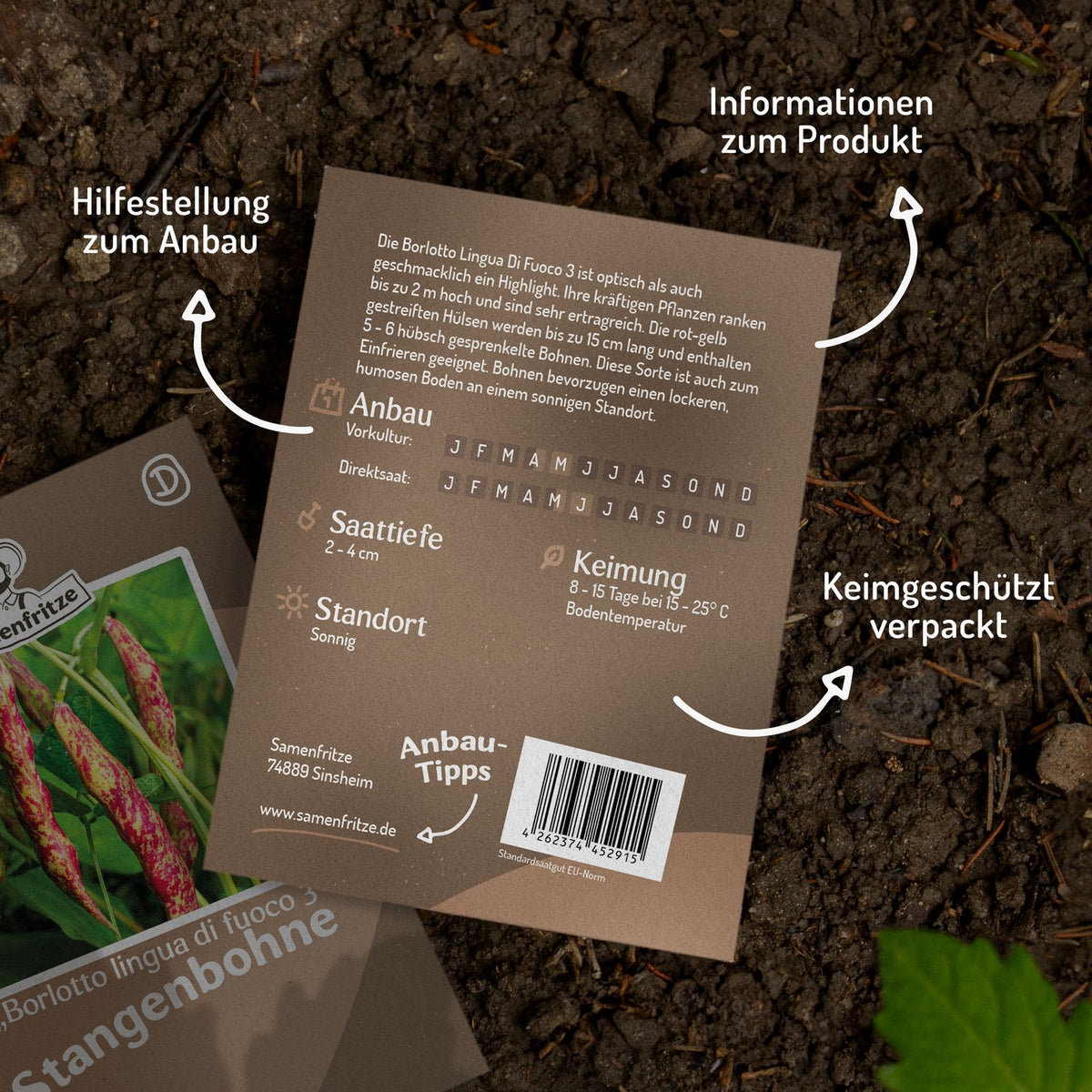 Stangenbohne Borlotto Lingua Di Fuoco 3 Samen