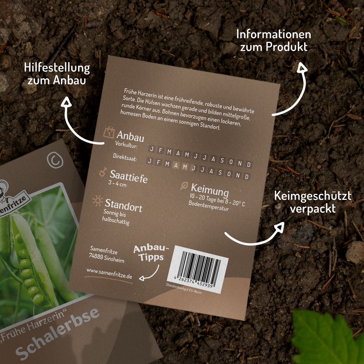 Schalerbse Frühe Harzerin Samen
