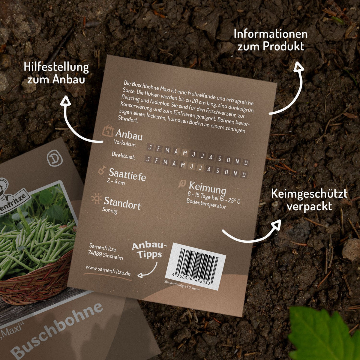 Buschbohne Maxi Samen