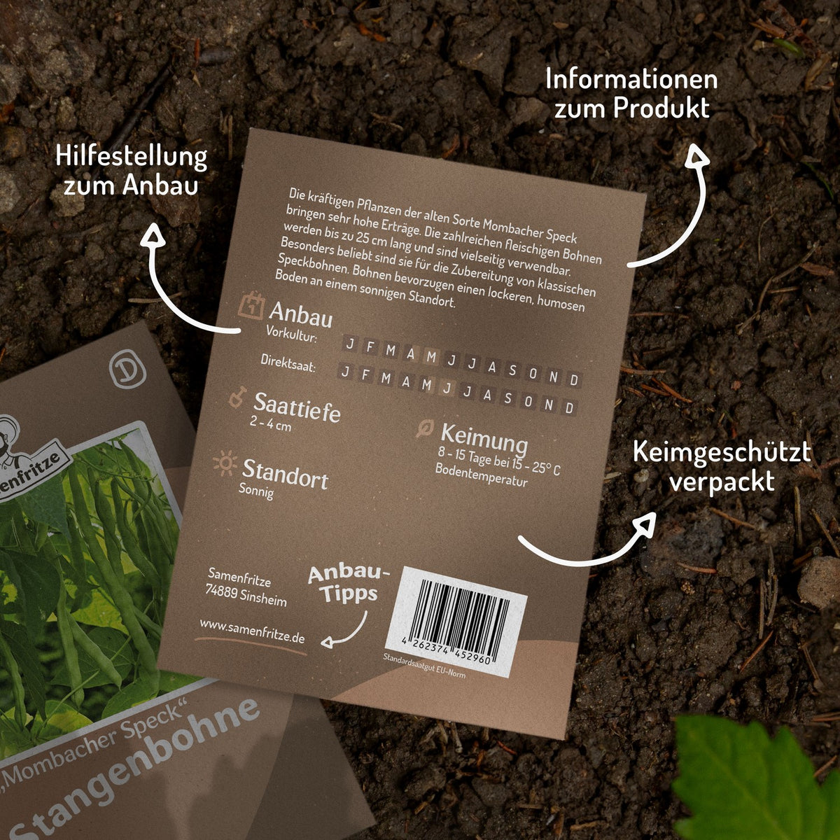 Stangenbohne Mombacher Speck Samen