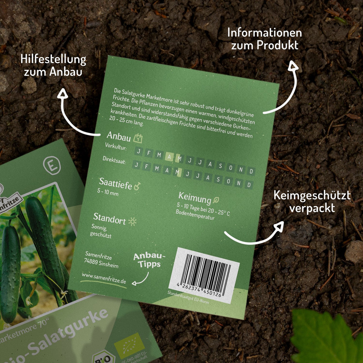 Bio-Salatgurke Marketmore Samen