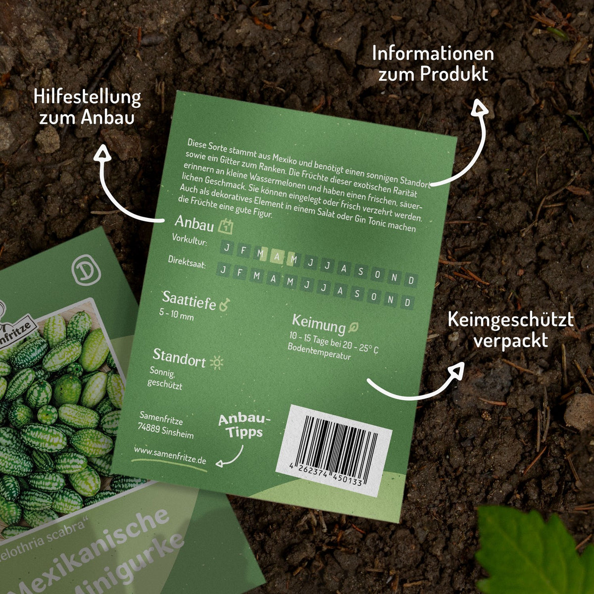 Mexikanische Minigurke Samen