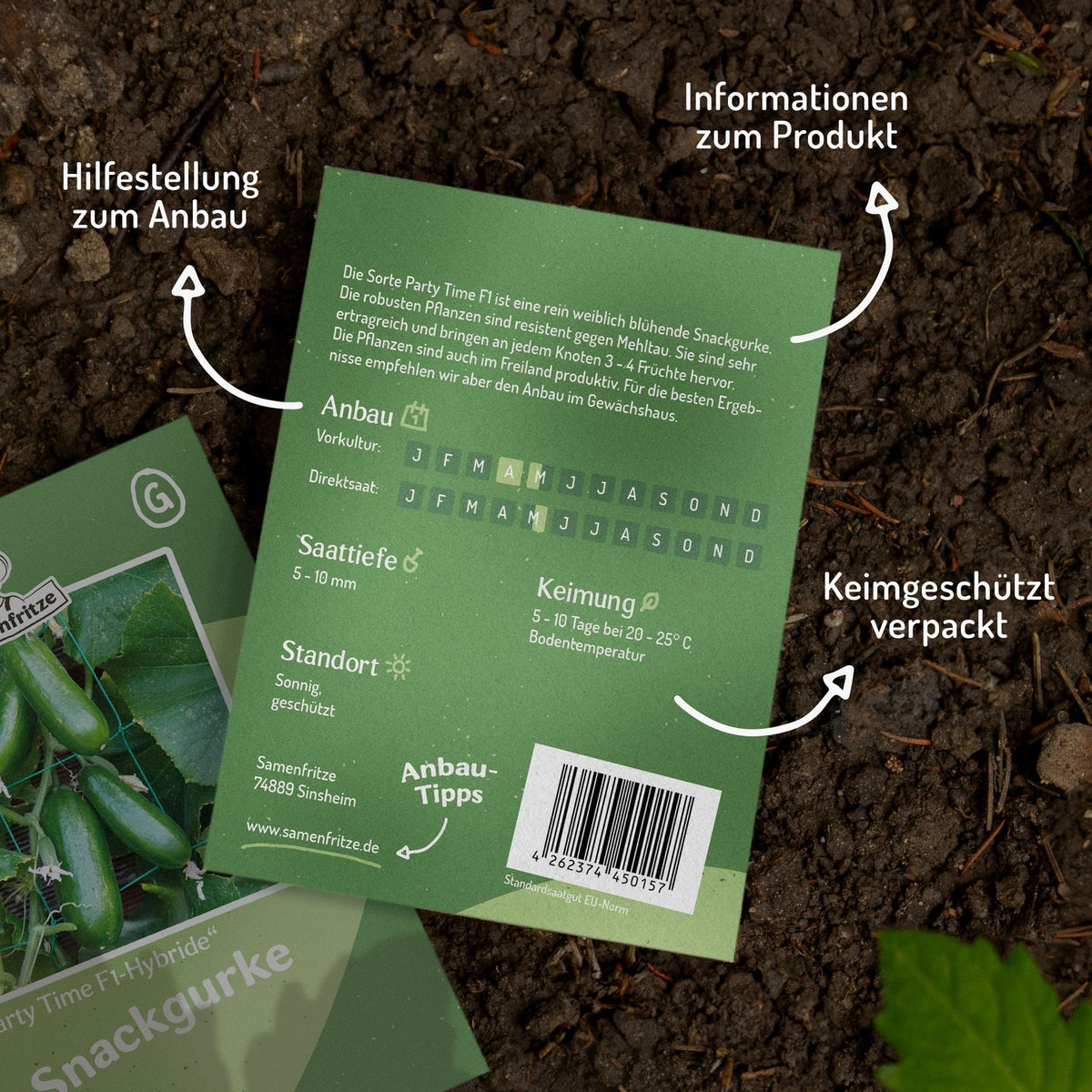 Snackgurke Party Time F1 Samen