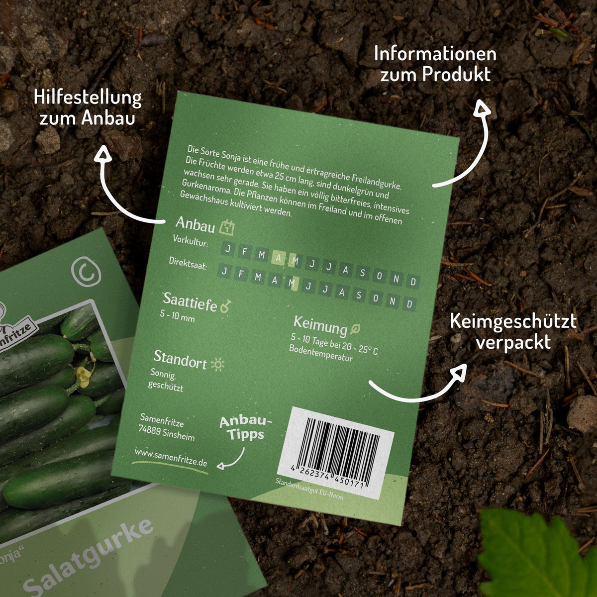 Salatgurke Sonja Samen