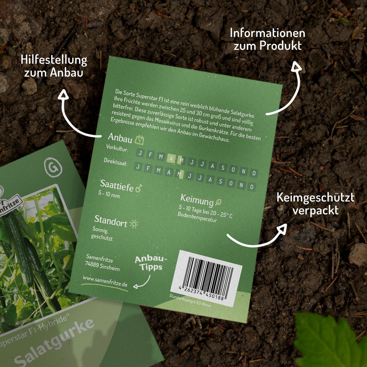 Salatgurke Superstar F1 Samen