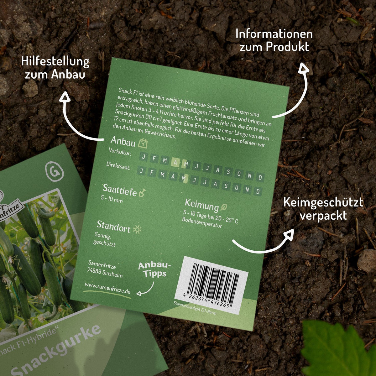 Snackgurke Snack F1 Samen