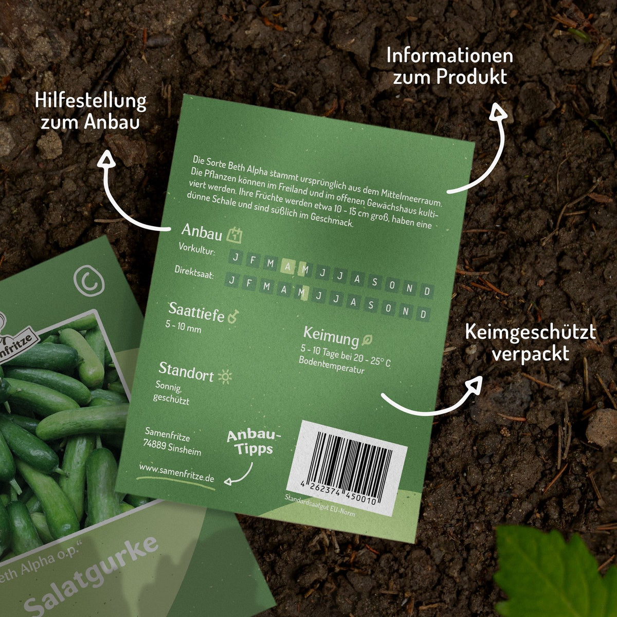 Salatgurke Beth Alpha Samen