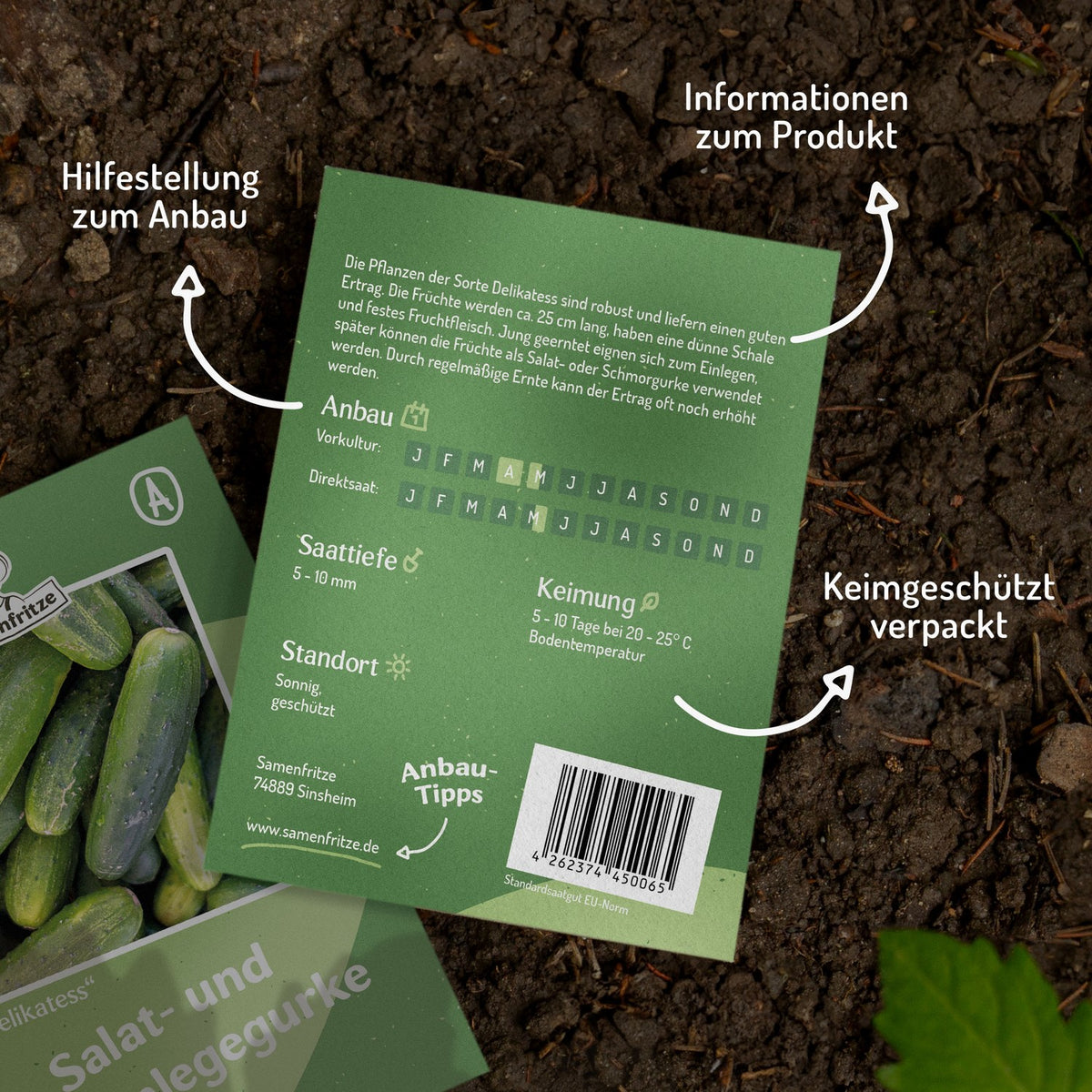Salat- und Einlegegurke Delikatess Samen