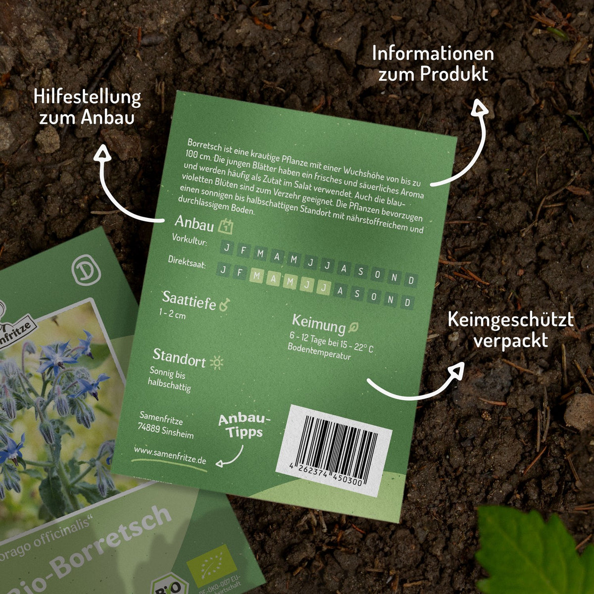 Bio-Borretsch (Gurkenkraut) Samen