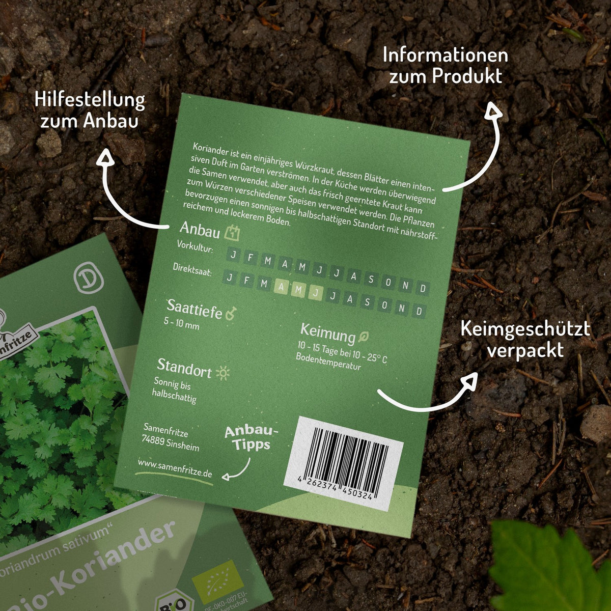 MHD 06/26 Bio-Koriander Samen