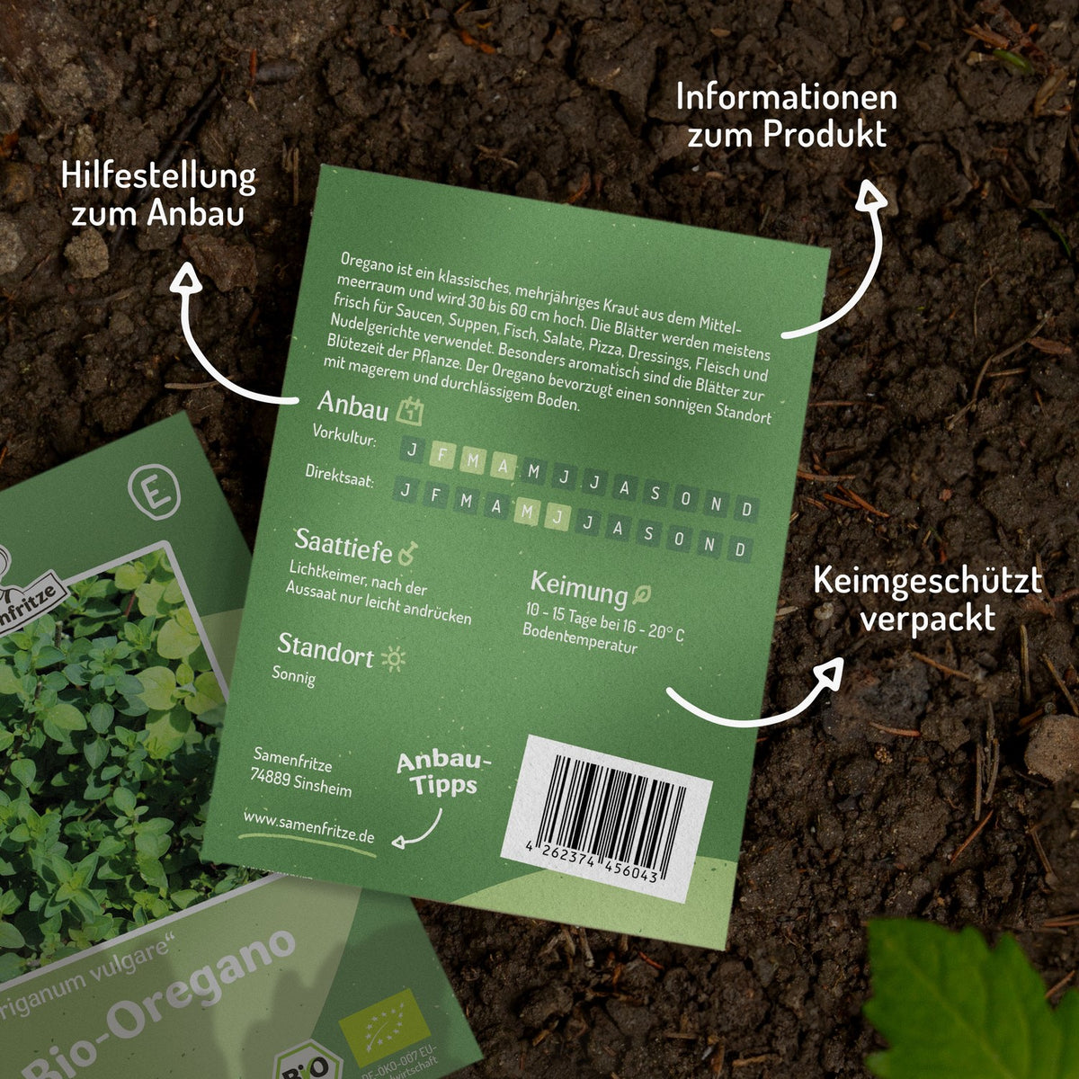 MHD 06/26 Bio-Oregano Samen
