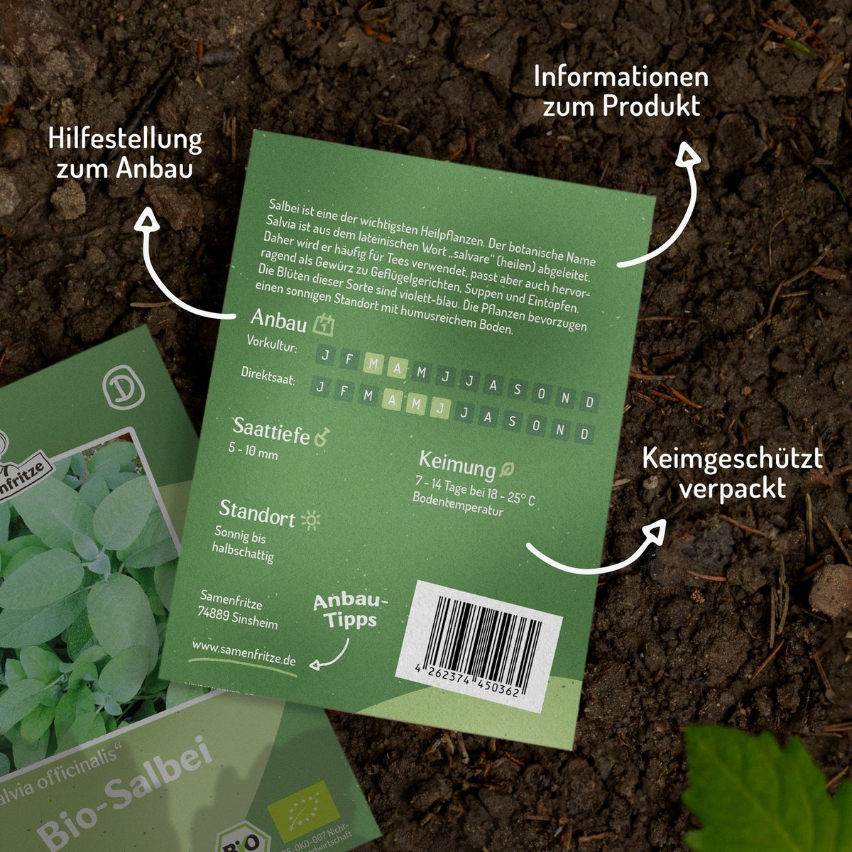 Bio-Salbei Samen, Salvia officinalis