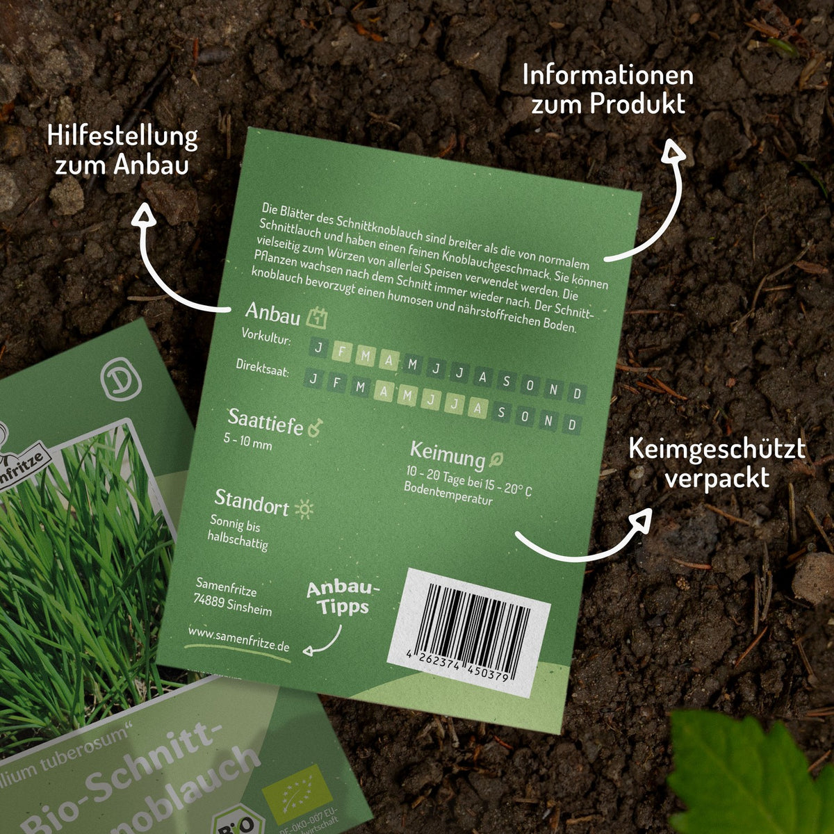 Bio-Schnittknoblauch Samen